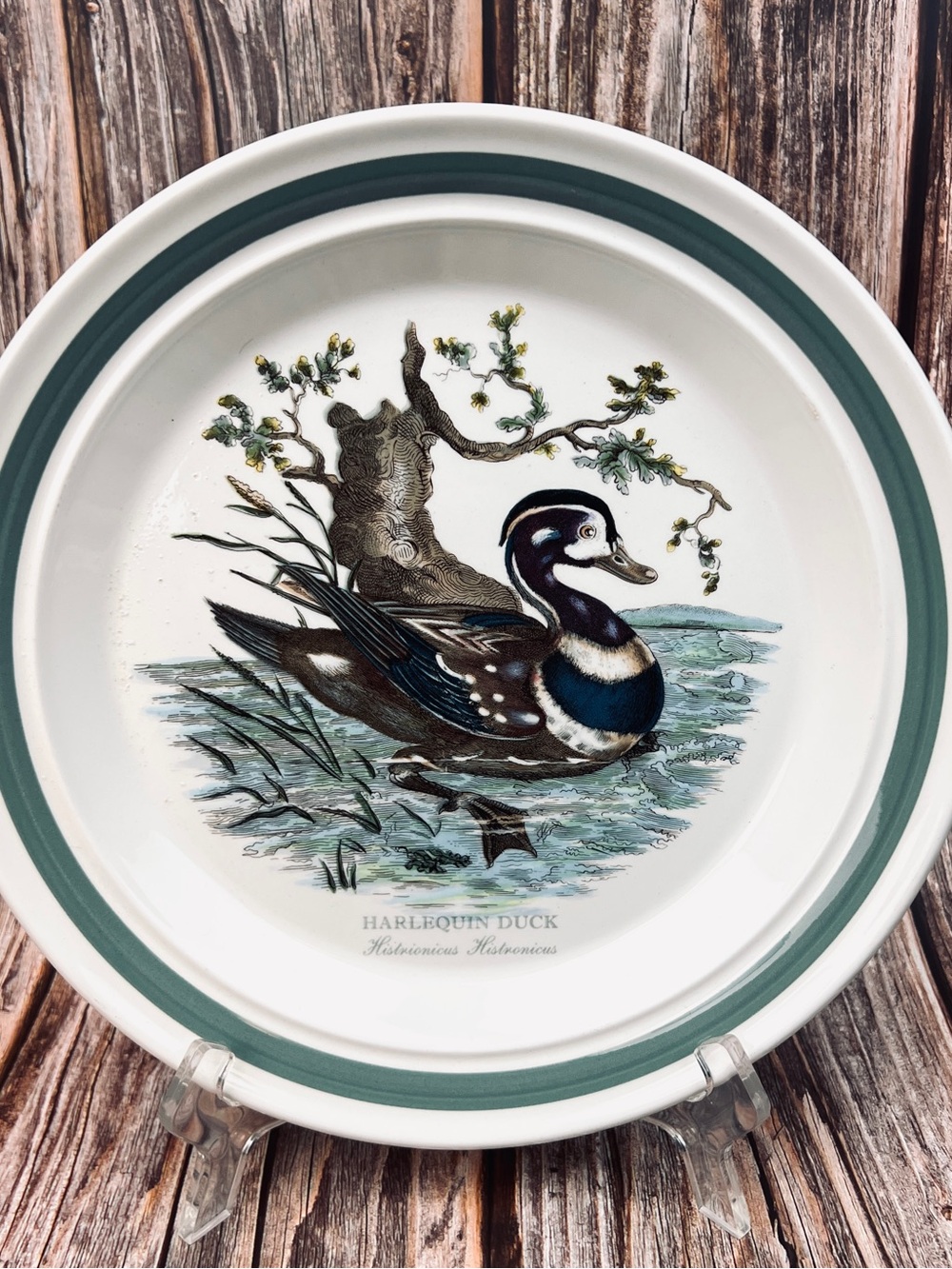Portmeirion Birds of Britain Harlequin Duck Dinner Plate Vintage 1978 Dinnerware